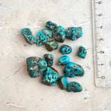 Turquoise A-quality gross