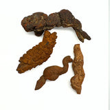 Fossil, Dinosauriebajs koprolit