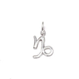 Taurus, Virgo &amp; Capricorn, zodiac signs in silver