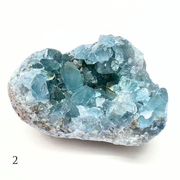 Celestin, large cluster