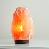 Saltlampa, med el och glödlampa