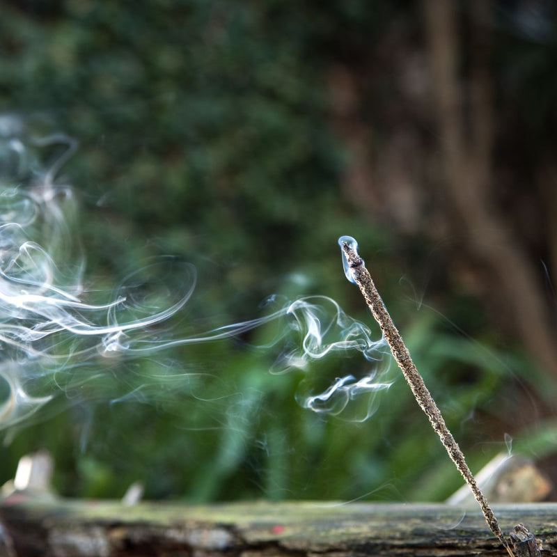 Incense Natural Rosemary, Rhubarb &amp; Frankincense