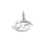 Cancer, Pisces &amp; Scorpio, zodiac signs in silver