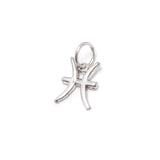 Cancer, Pisces &amp; Scorpio, zodiac signs in silver