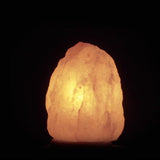Saltlampa, med el och glödlampa