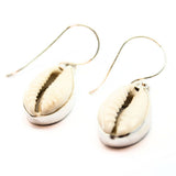 Seashell - Cowrie shell in silver earring