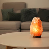 Saltlampa, med el och glödlampa