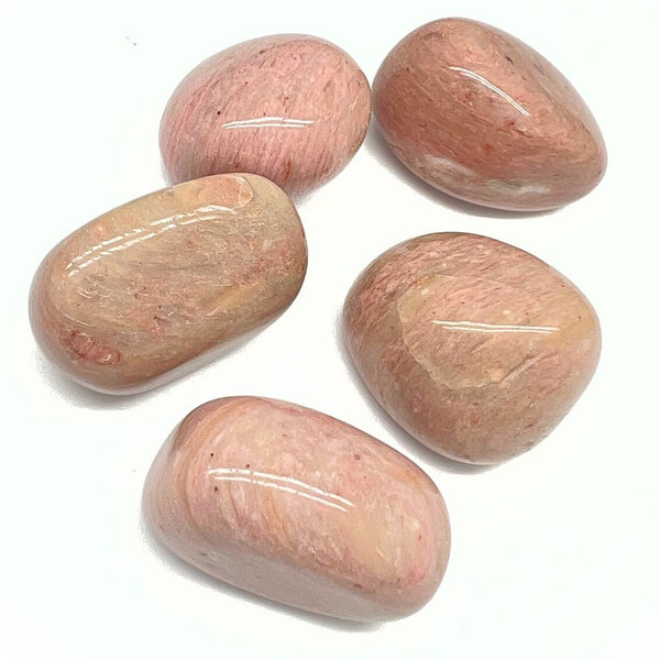 Petrified wood, tumbled rock from Arizona