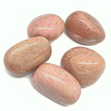 Petrified wood, tumbled rock from Arizona