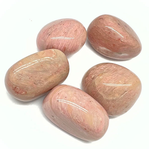Petrified wood, tumbled rock from Arizona