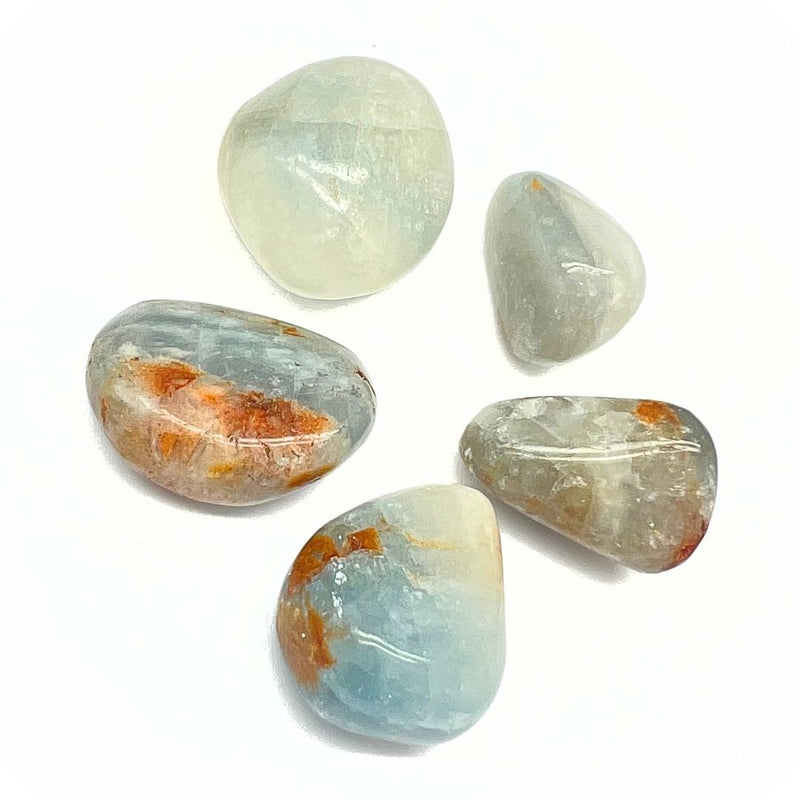 Celestin tumbled