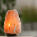 Saltlampa, med el och glödlampa