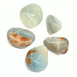 Celestin tumbled