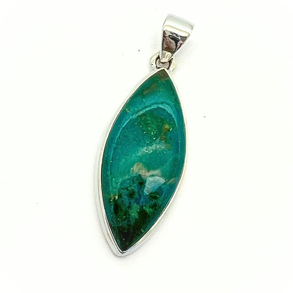 Chrysocolla, hopeariipus huippuluokkaa