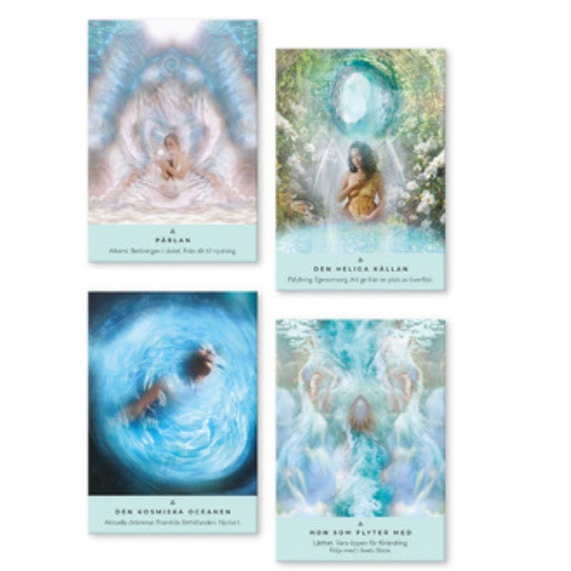 The Power Animals Oracle Card