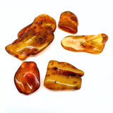 Polished Amber