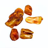 Polished Amber