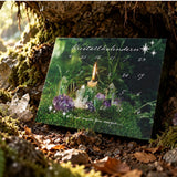 Crystal Calendar 2026 The Crystal Room's advent calendar is here!