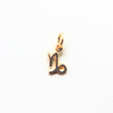 Capricorn symbol, pendant in gold-plated silver small