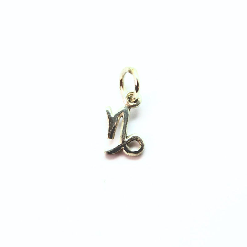 Capricorn symbol, pendant in silver small