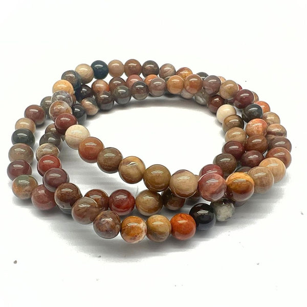Petrified wood, tumbled rock from Arizona