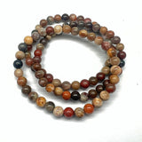 Petrified wood, tumbled rock from Arizona