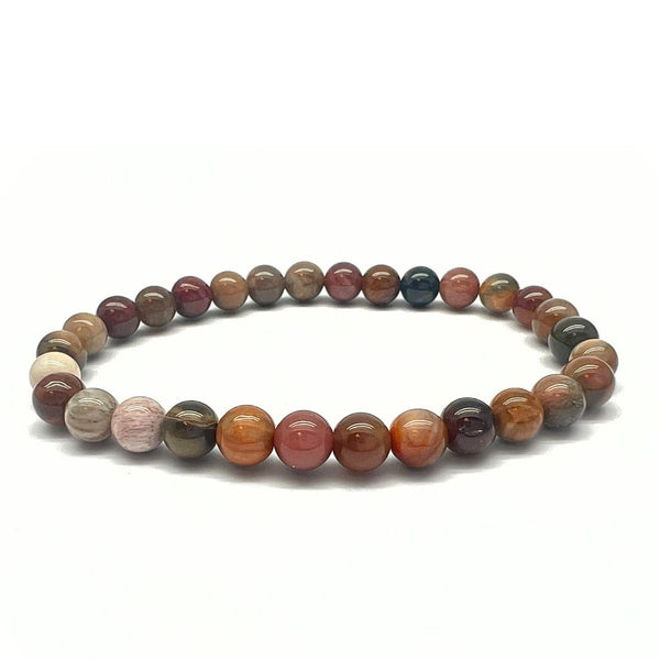 Petrified wood, tumbled rock from Arizona