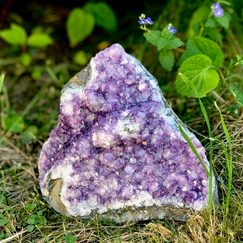 Amethyst standing cluster, approx. 2820 gr from Uruguay