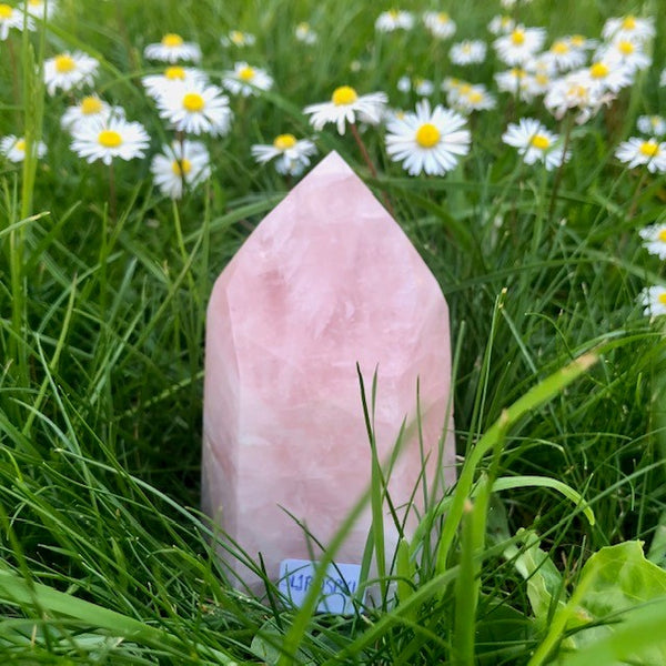 Rose quartz, ground points AA quality