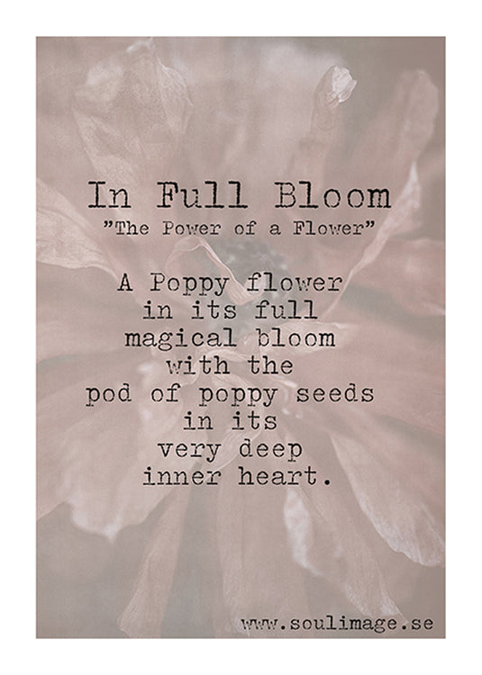Soul Image, In full Bloom card