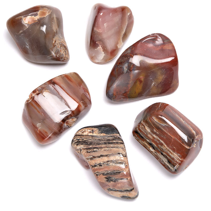 Petrified wood