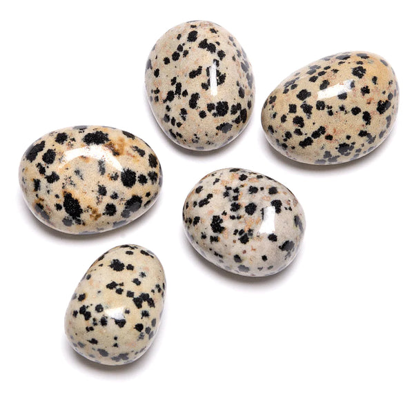 Dalmatians stone gross