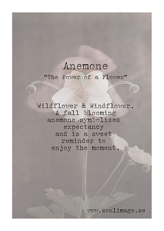 Soul Image, Anemon card
