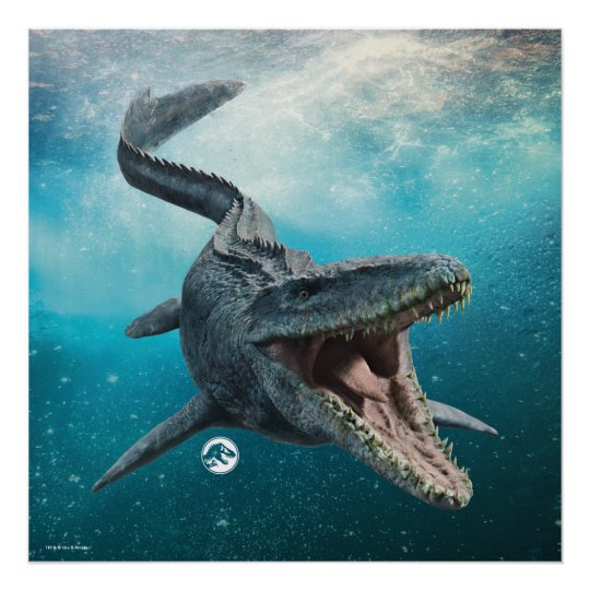 Fossil, Mosusaurius dinosaurie tand