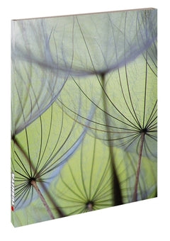 Notebook, Tushita Blank book dandelion seeds