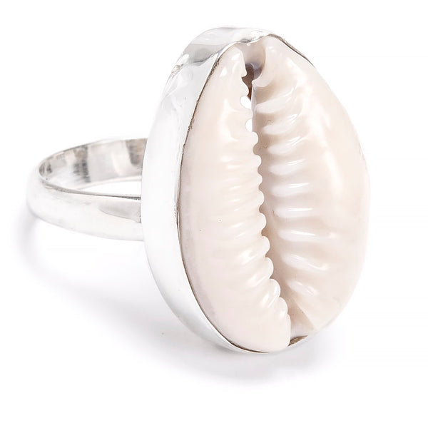 Shell - Cowrie shell in silver ring