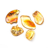 Polished Amber