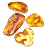 Polished Amber