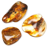 Polished Amber