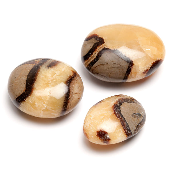 Septarian dragon stone, hand polished